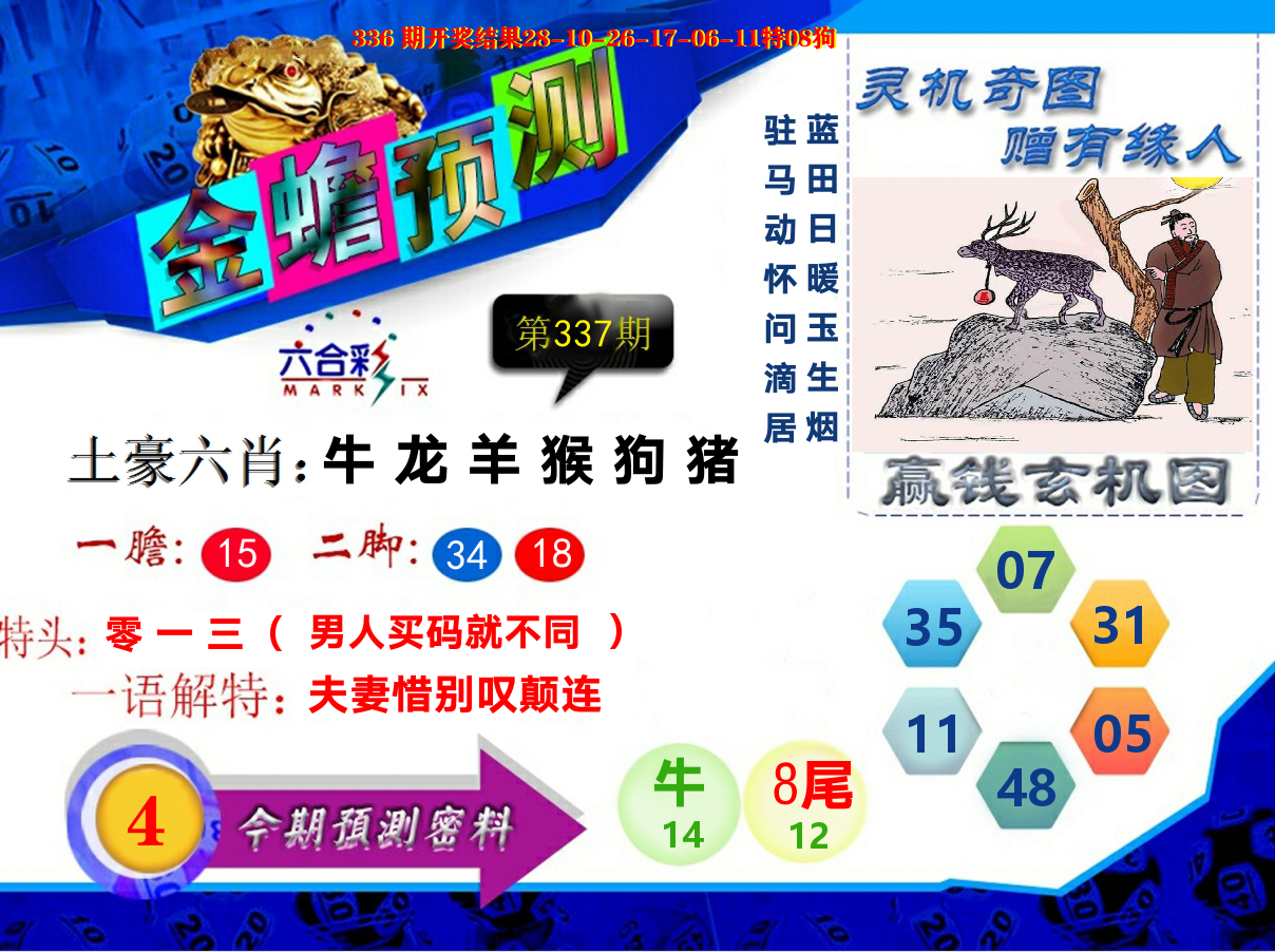 金蟾预测 第337期