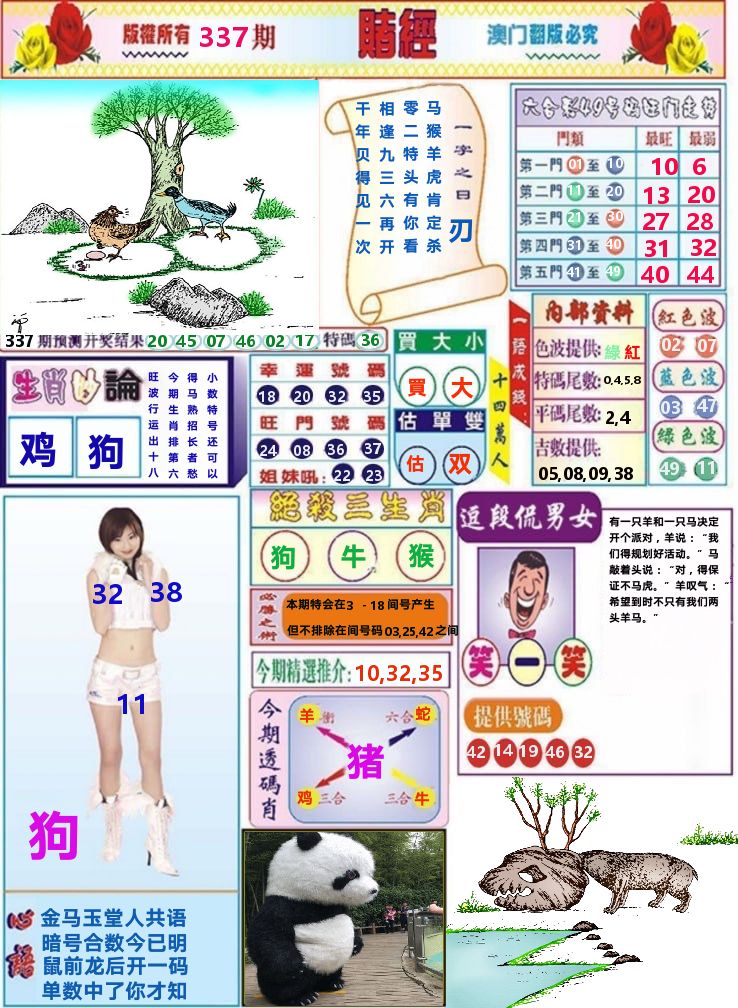 澳门赌经 第337期