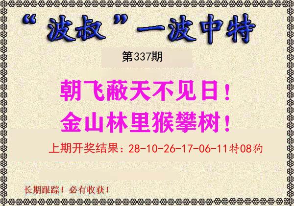波叔中特 第337期
