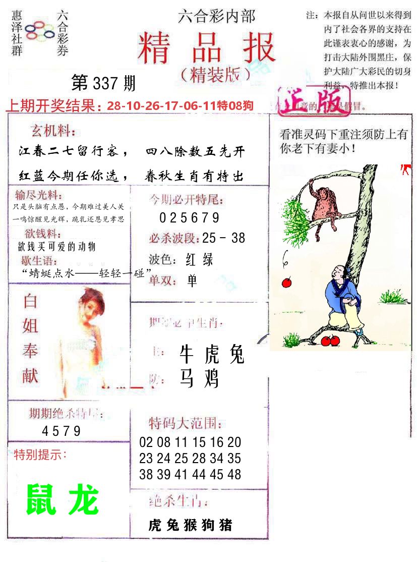精品报 第337期