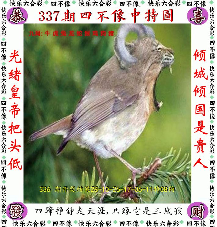 四不像 第337期