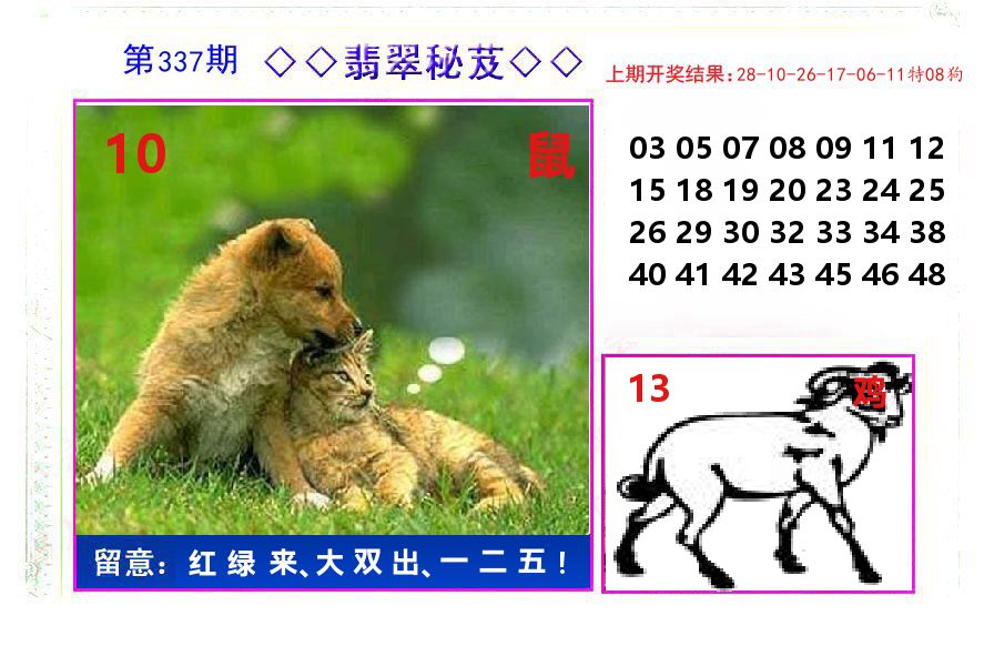 翡翠秘芨 第337期