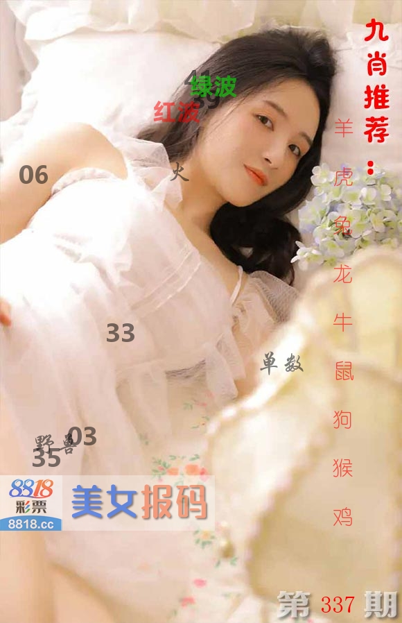 美女报码 第337期