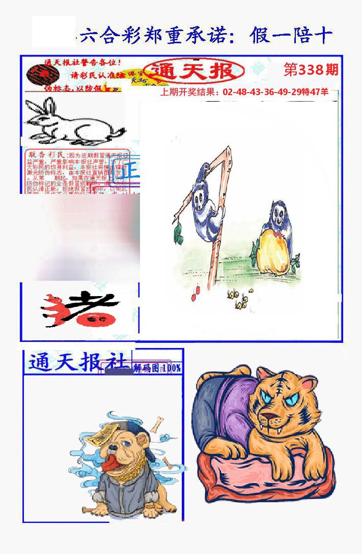 通天报 第338期