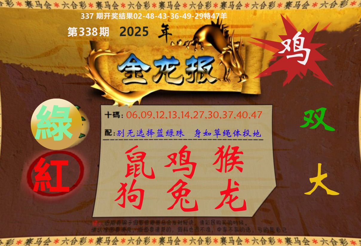 金龙报 第338期