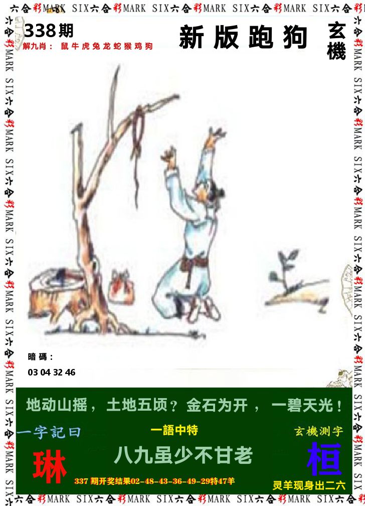 悟入其图 第338期