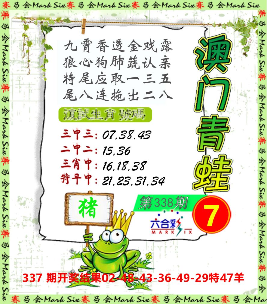 青蛙系列7 第338期