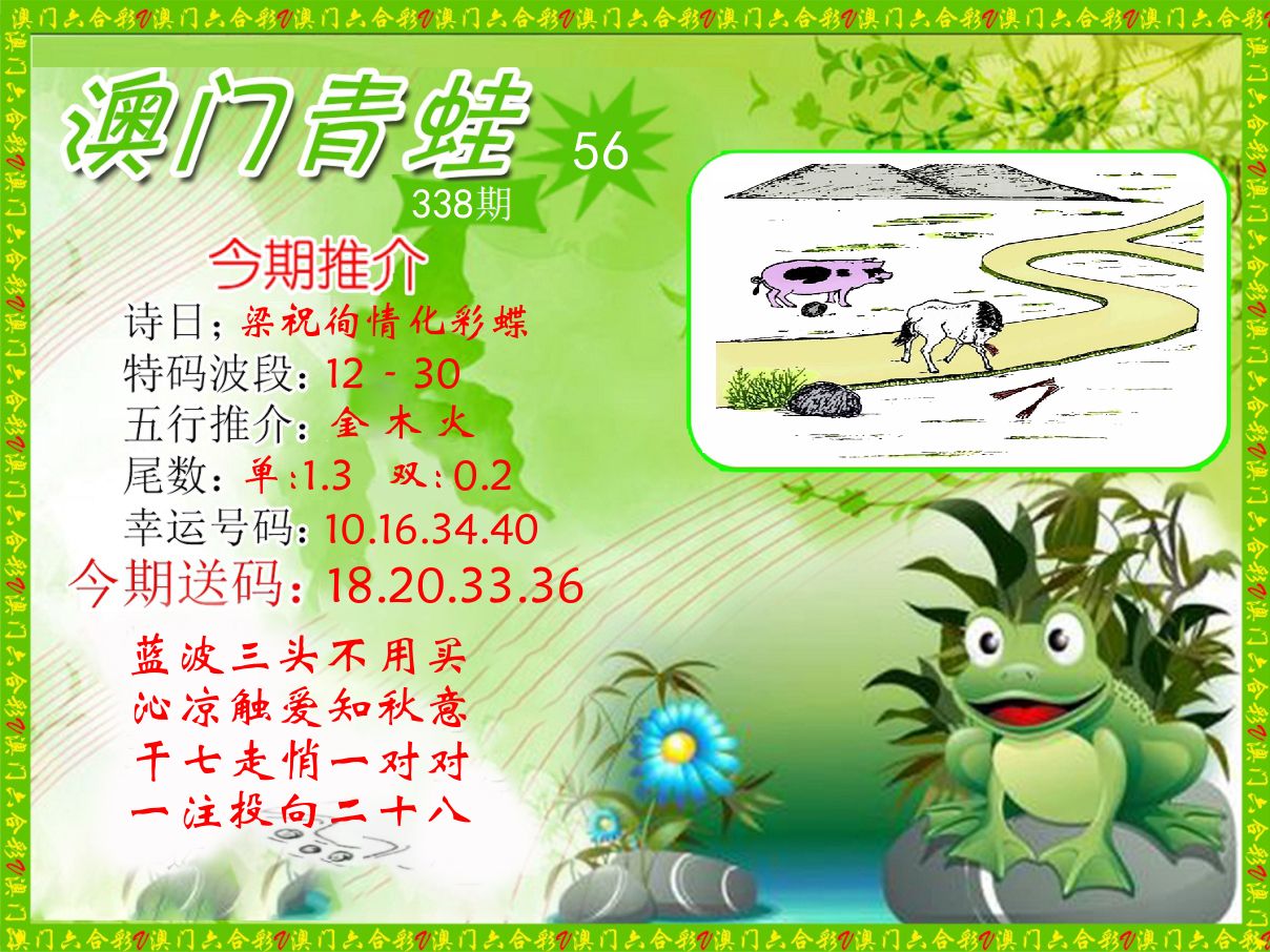 青蛙系列56 第338期