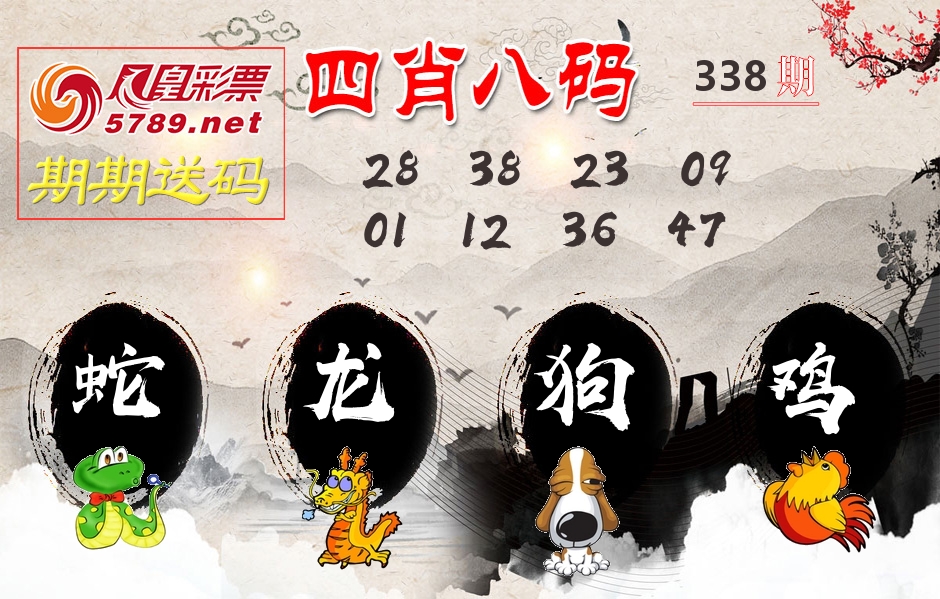 四肖八码期期送 第338期