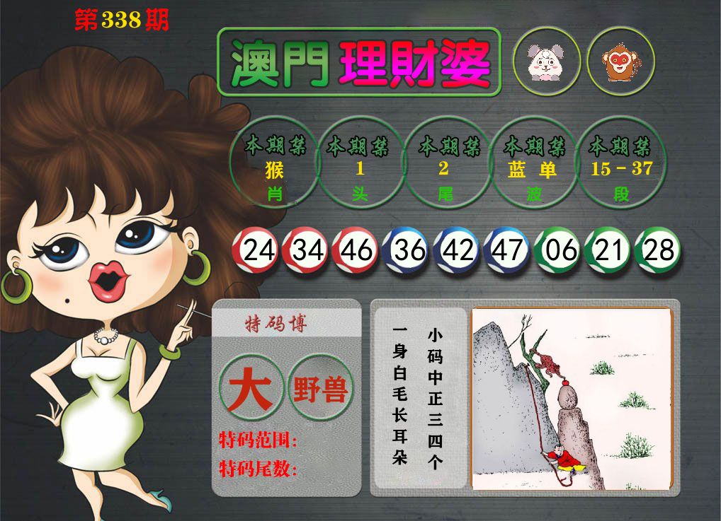 理财婆 第338期