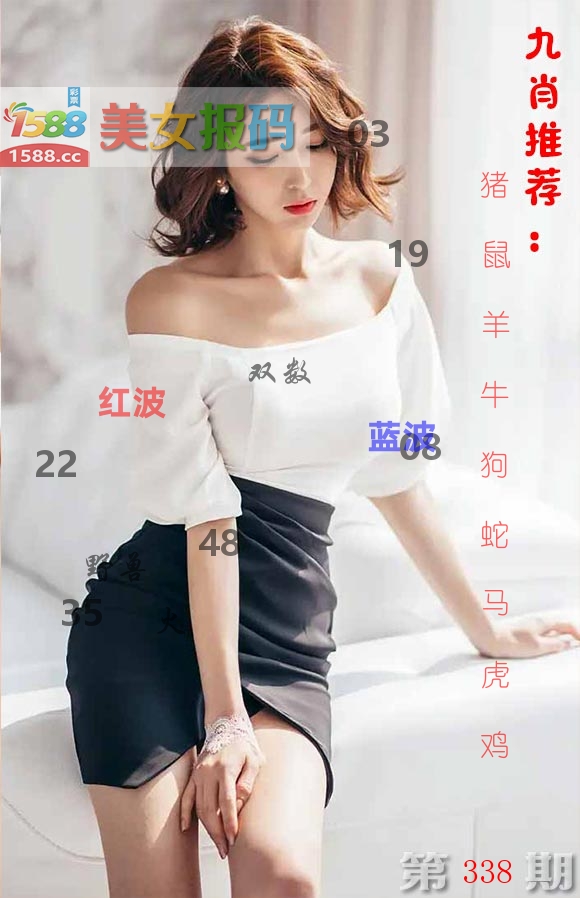 美女报码 第338期