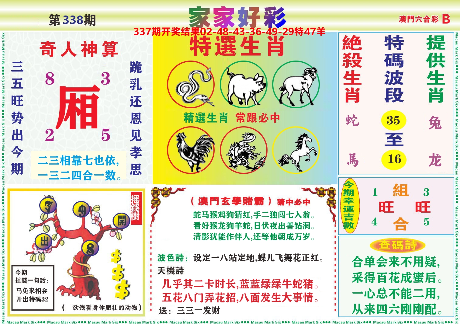 家家好彩B 第338期