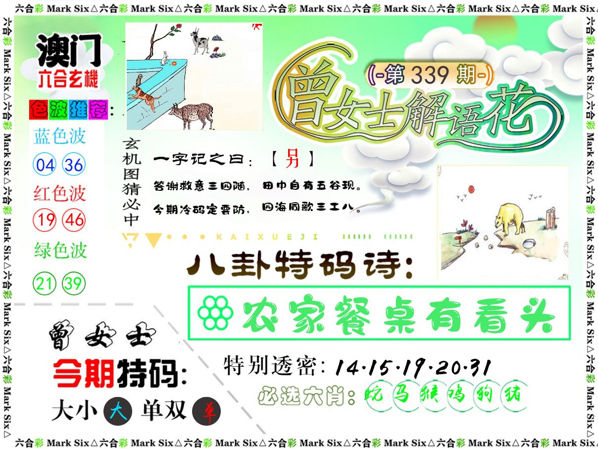 曾女士解语花 第339期