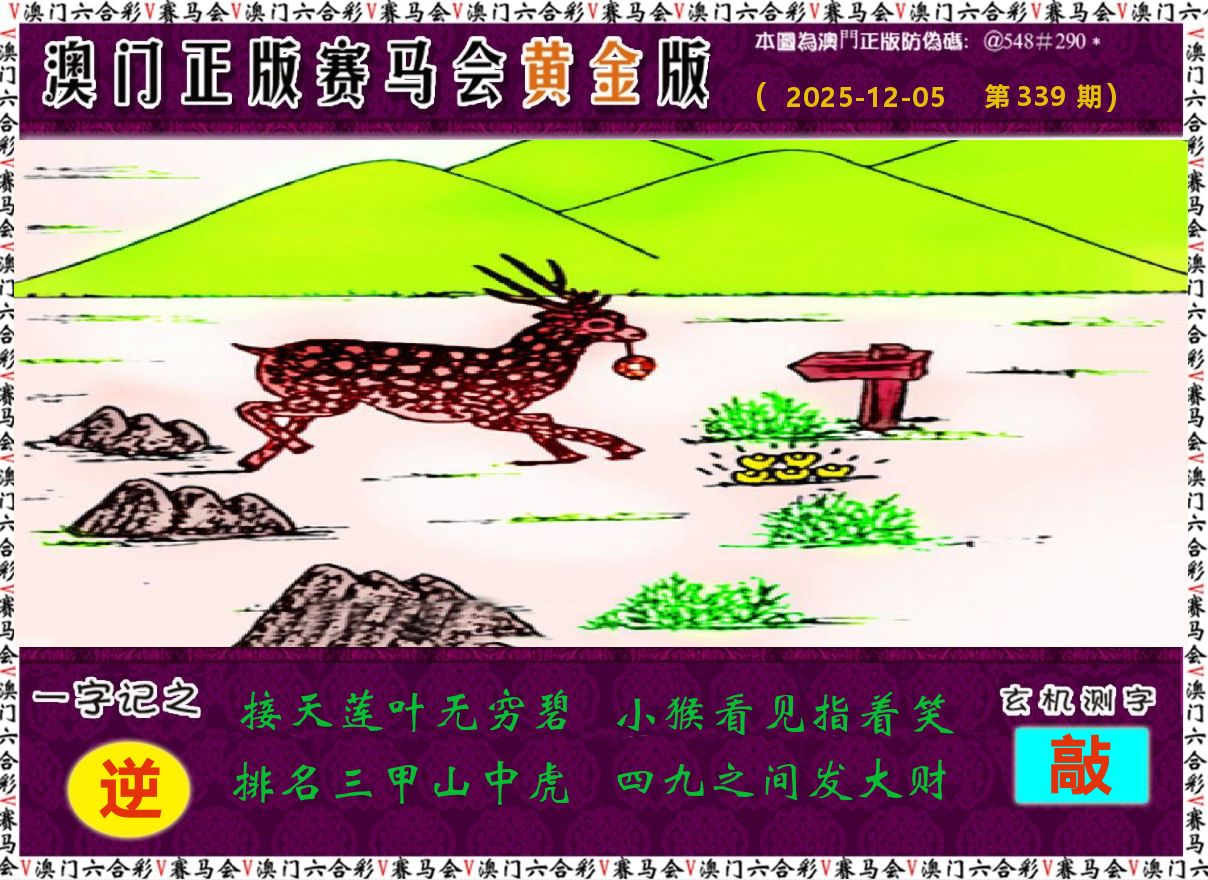 赛马会黄金版 第339期