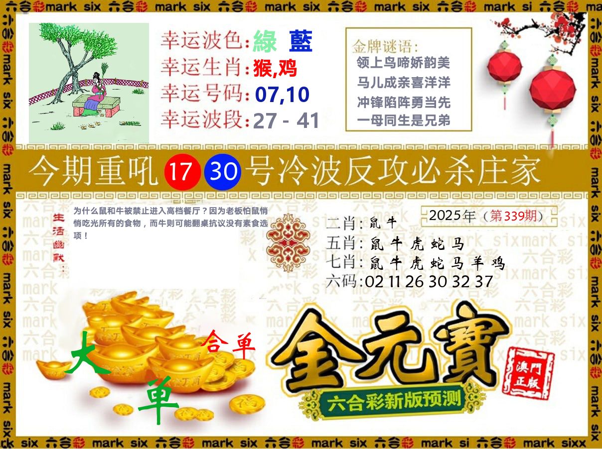 金元宝 第339期