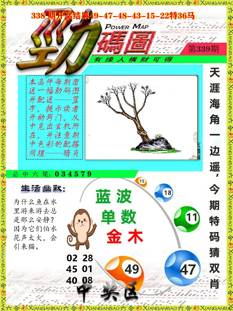 劲码图 第339期