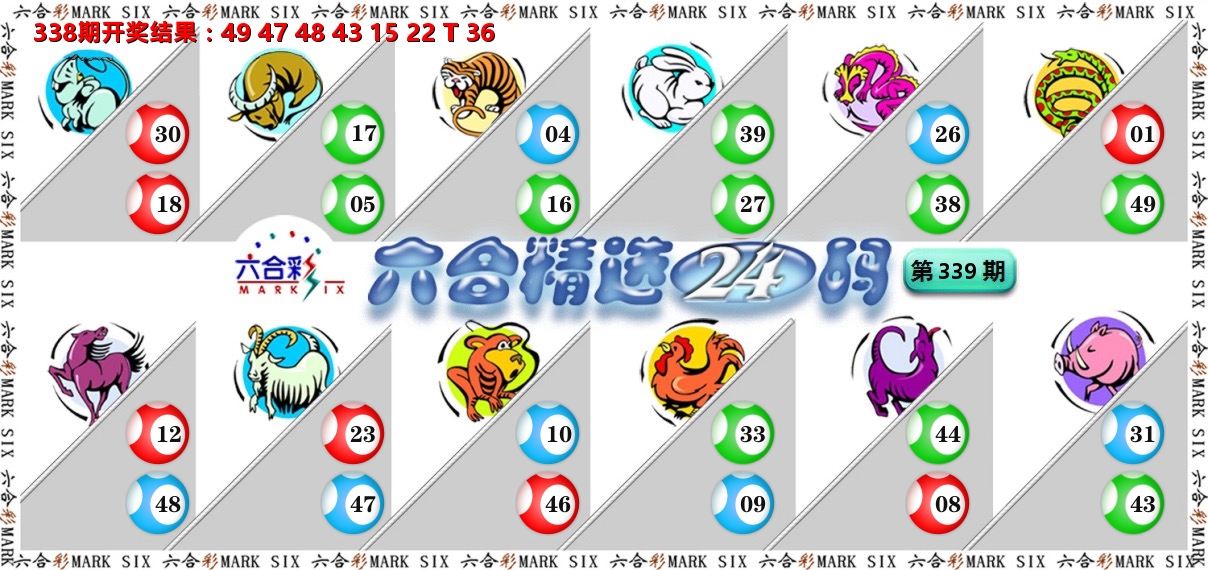 六合精选24码 第339期