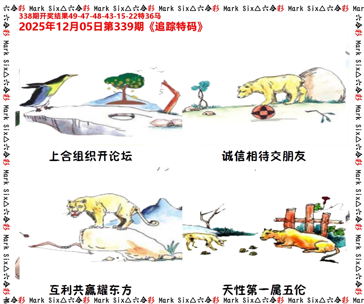 追踪特码 第339期