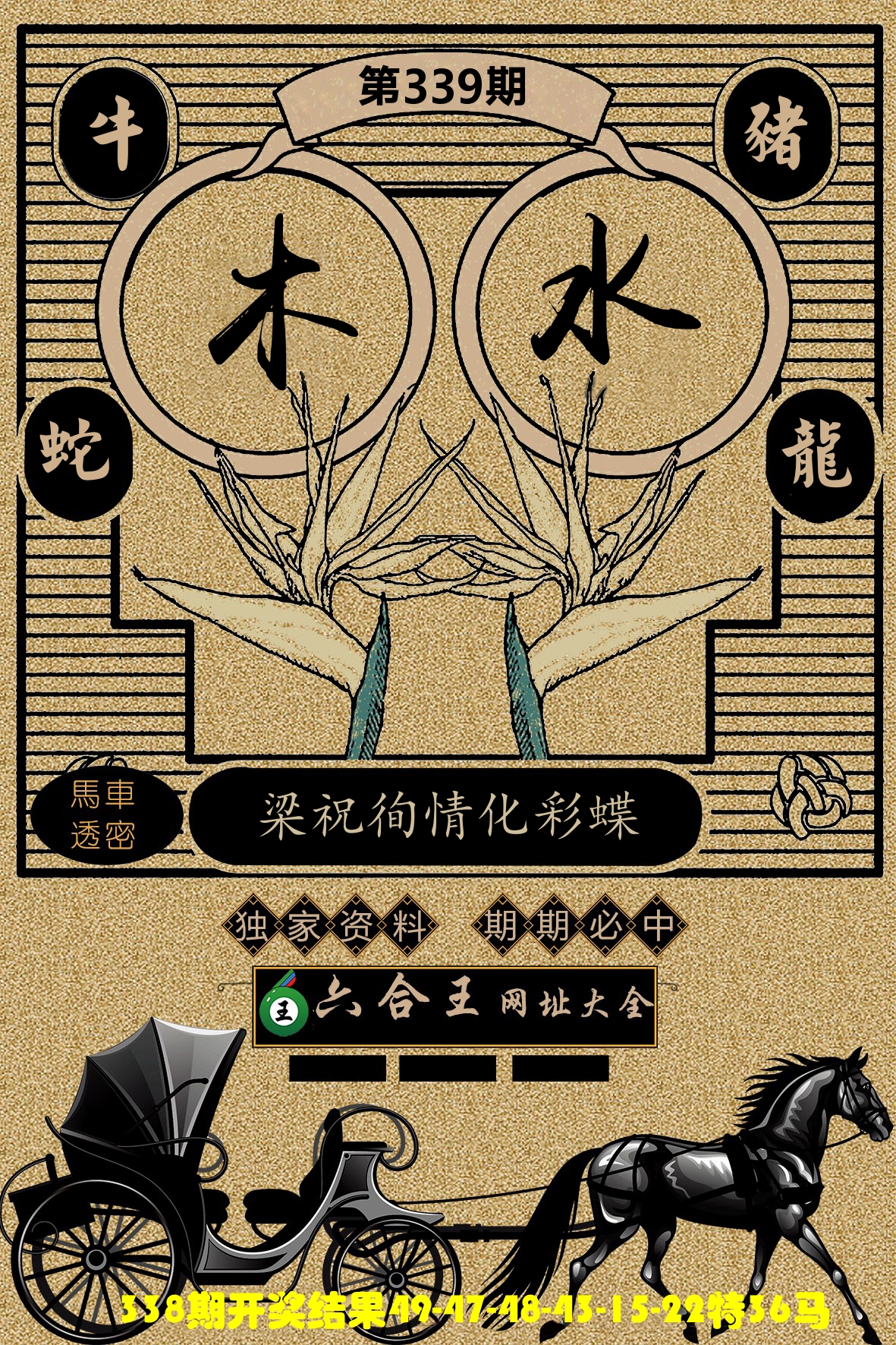 六合王马车透密 第339期