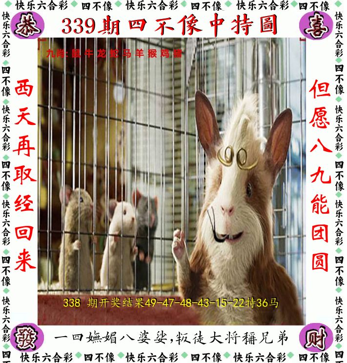 四不像 第339期