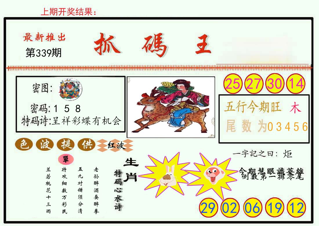 最新抓码王 第339期