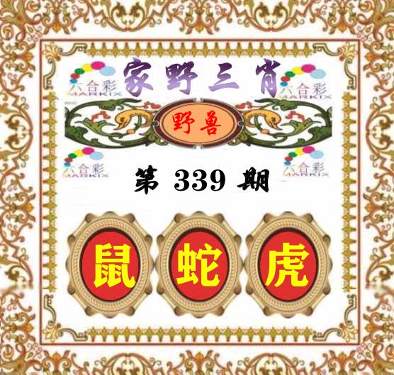 家野三肖 第339期