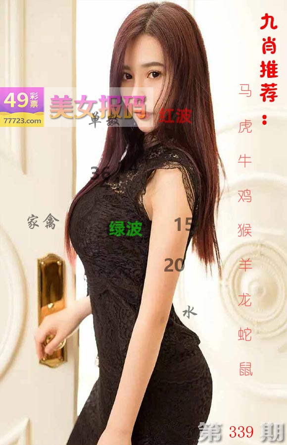 美女报码 第339期