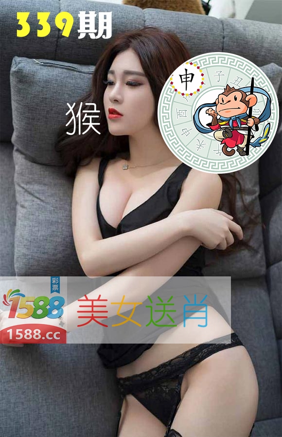 美女送肖 第339期