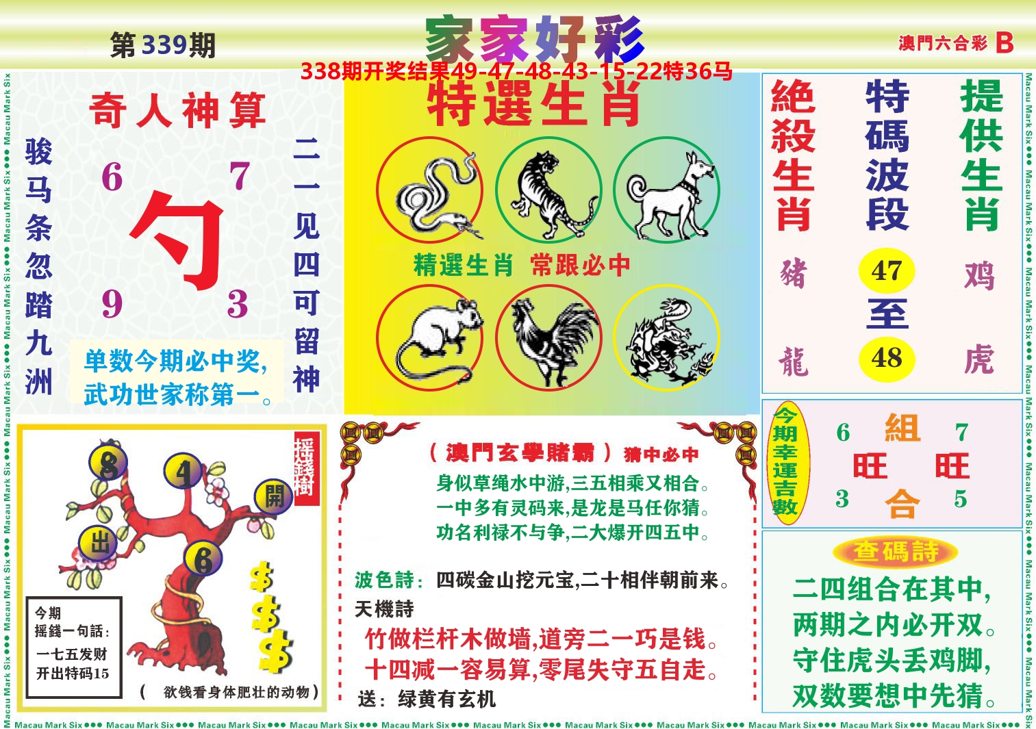 家家好彩B 第339期