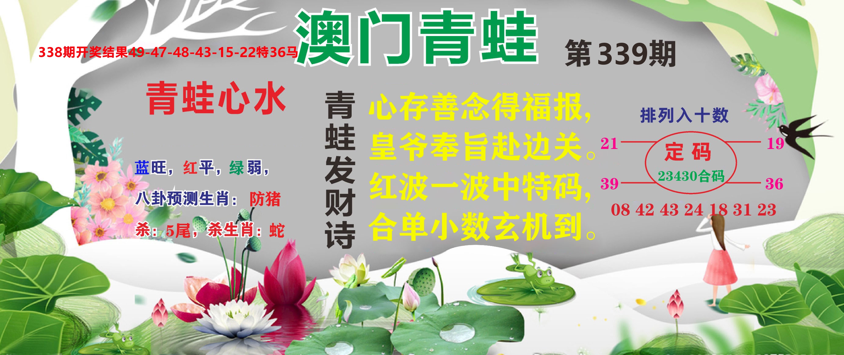 澳门致富经D 第339期