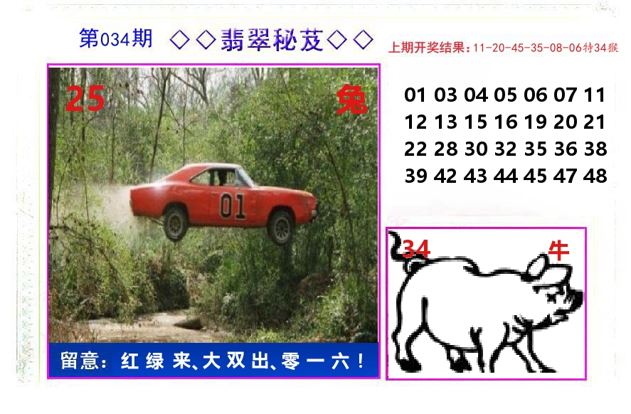 翡翠秘芨 第34期