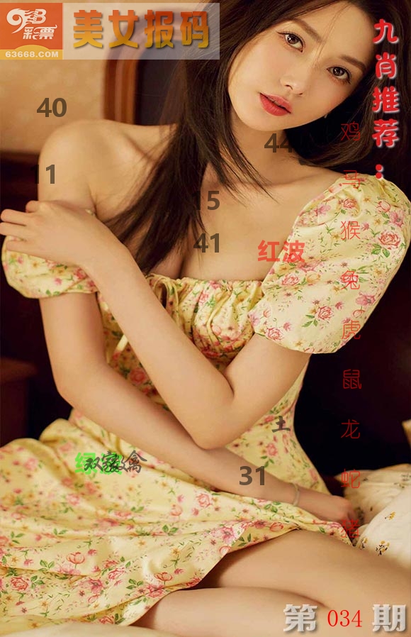 美女报码 第34期
