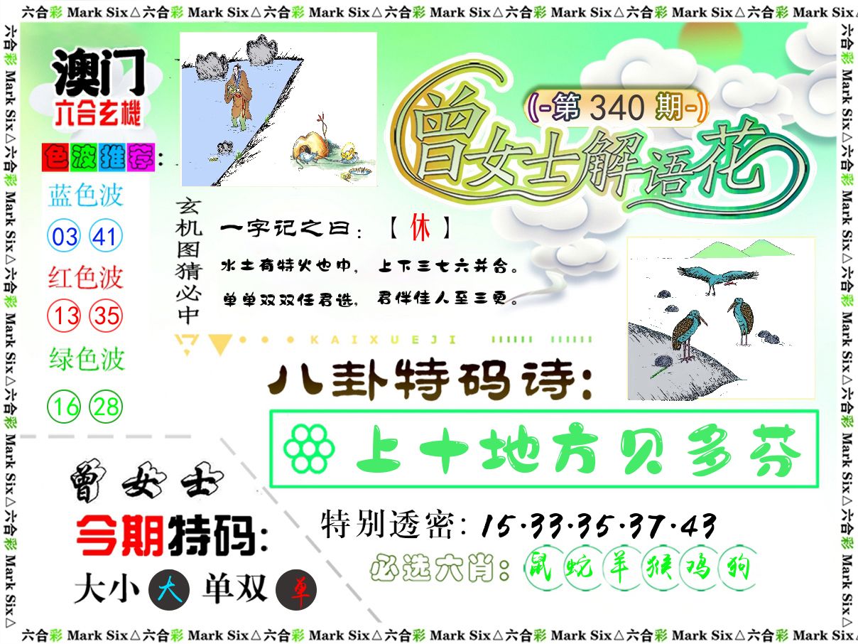 曾女士解语花 第340期