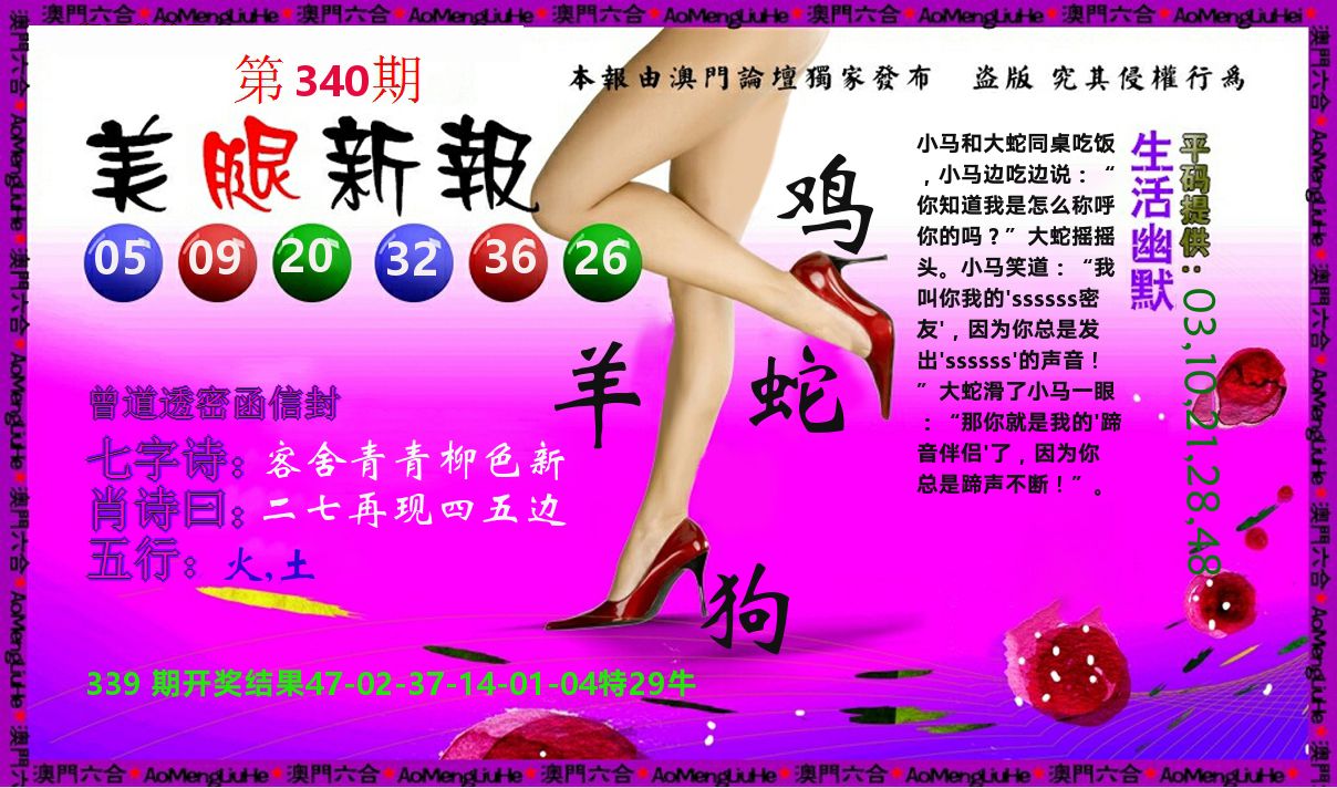 美腿新报 第340期