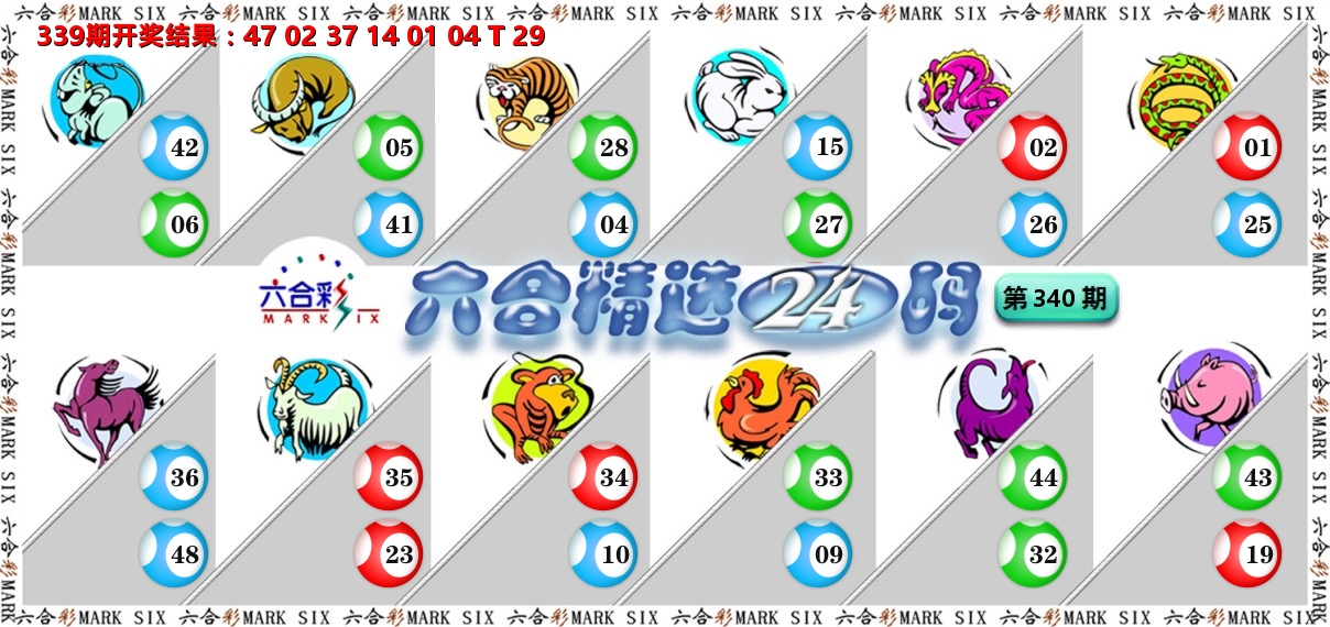 六合精选24码 第340期