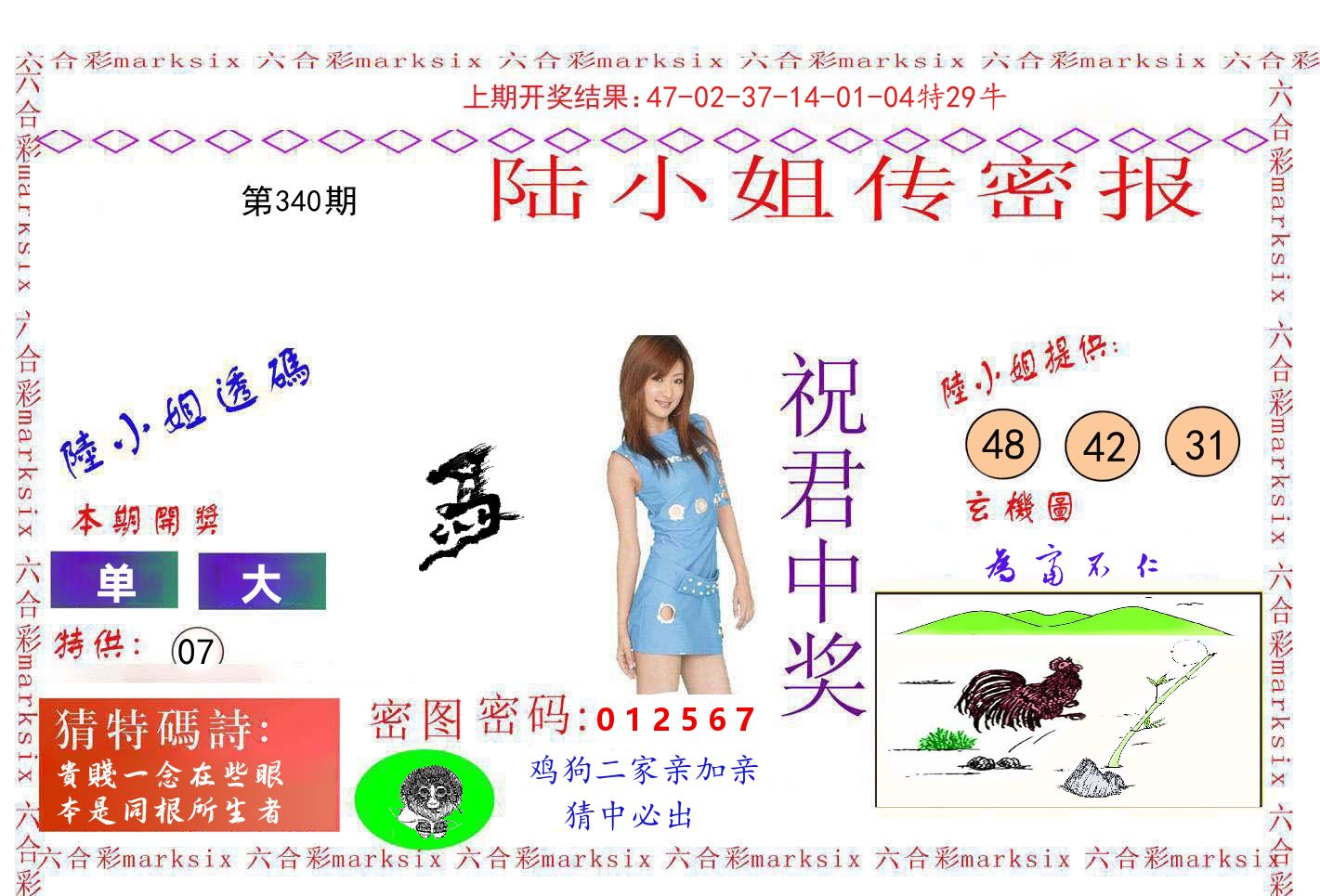 陆小姐密报 第340期