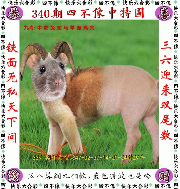 四不像 第340期