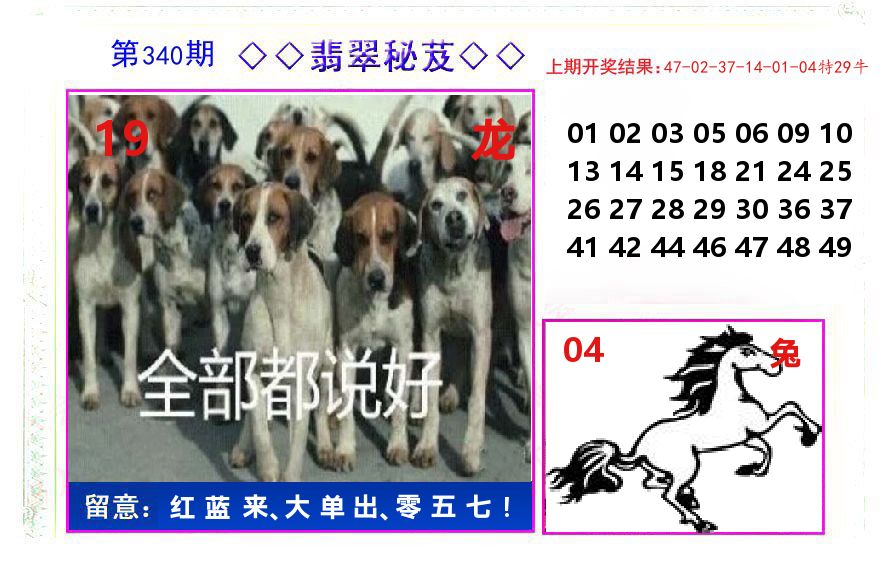 翡翠秘芨 第340期