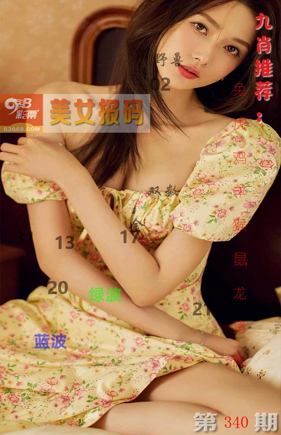 美女报码 第340期