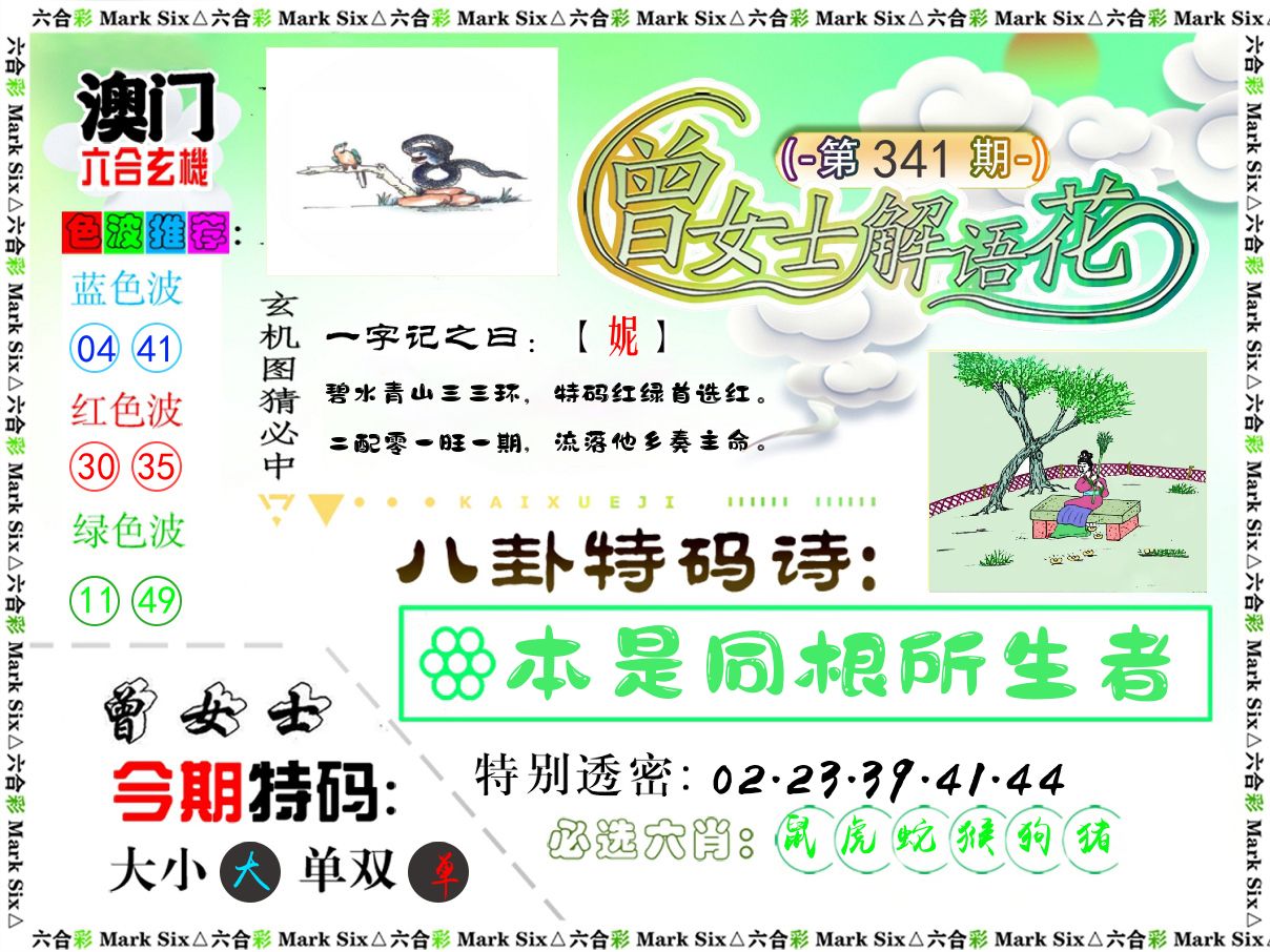 曾女士解语花 第341期