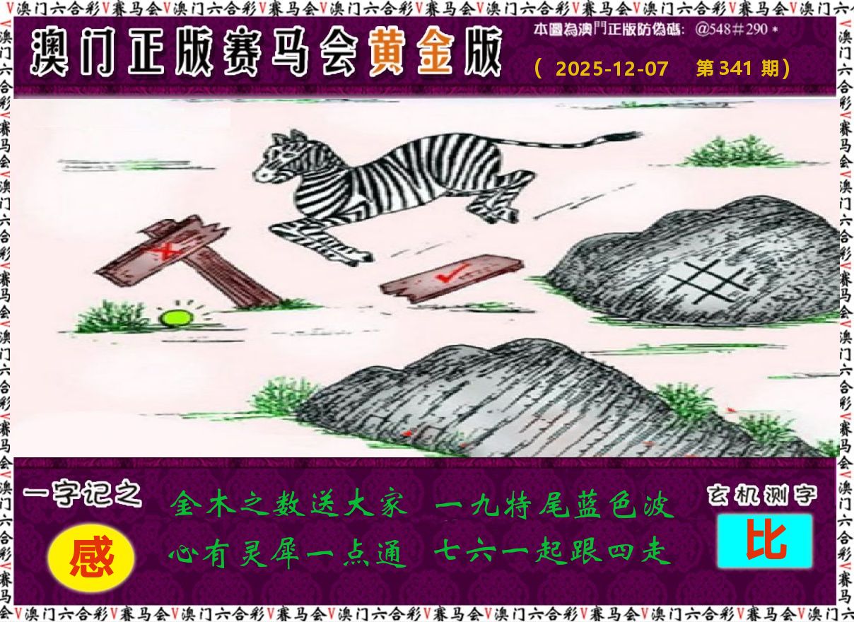 赛马会黄金版 第341期