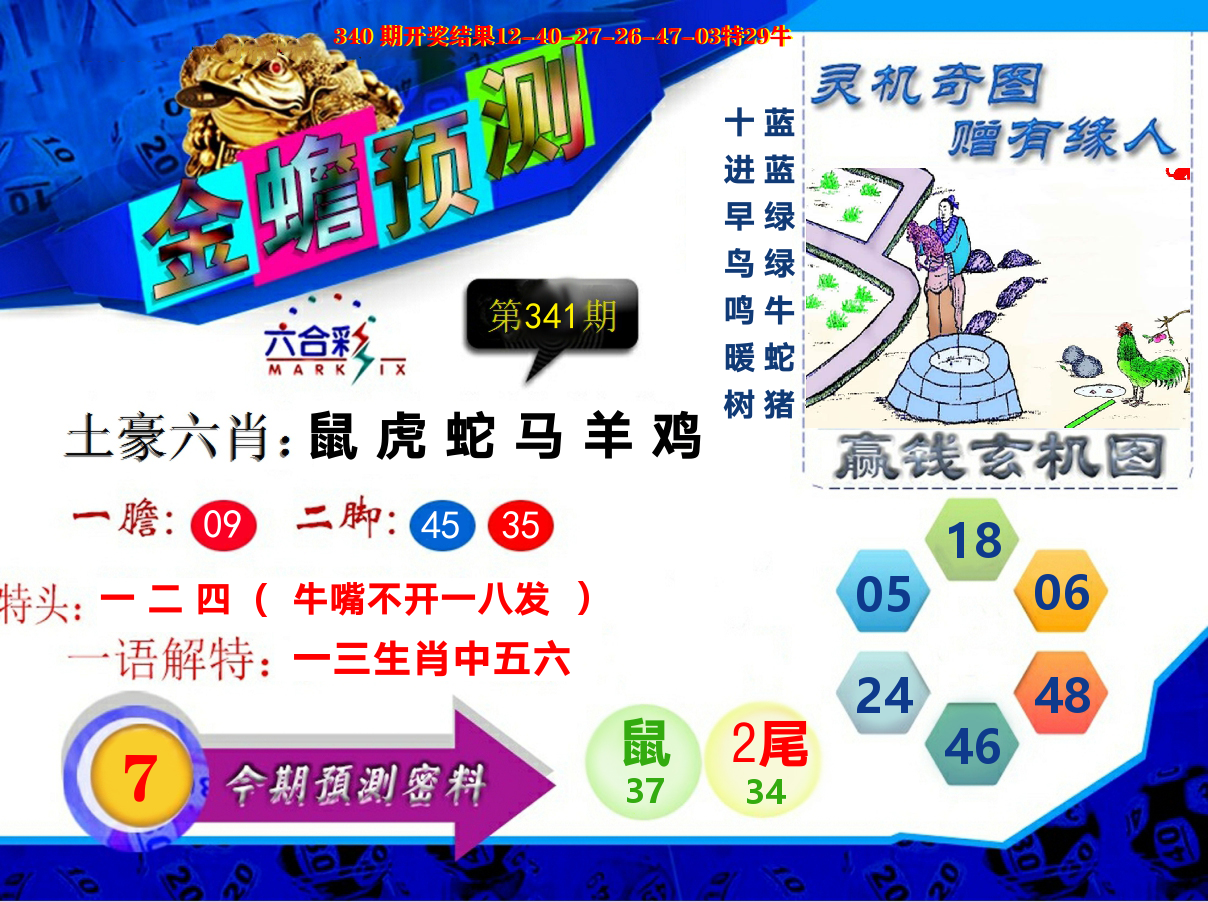 金蟾预测 第341期