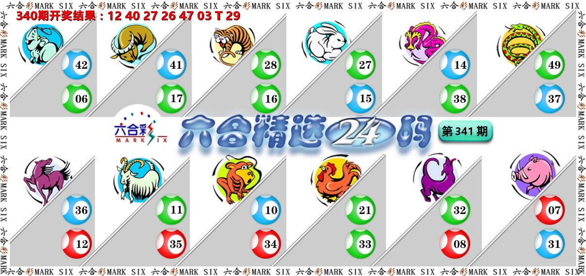 六合精选24码 第341期