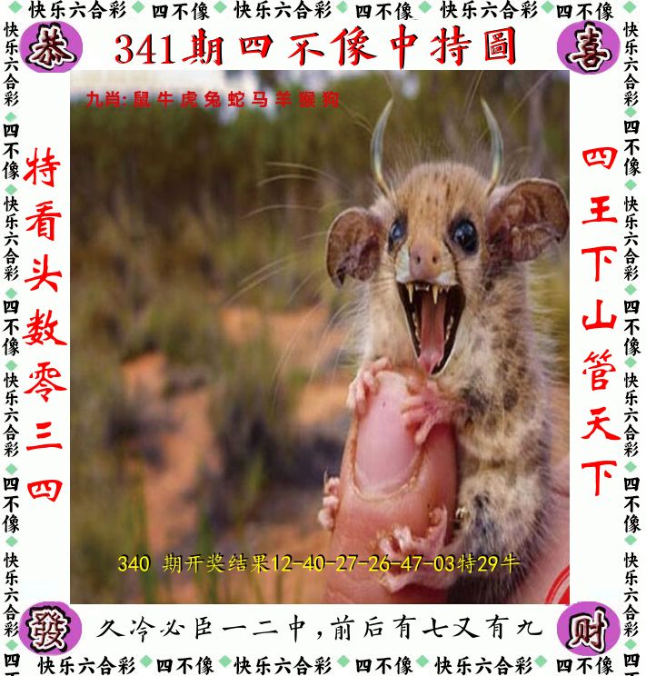 四不像 第341期