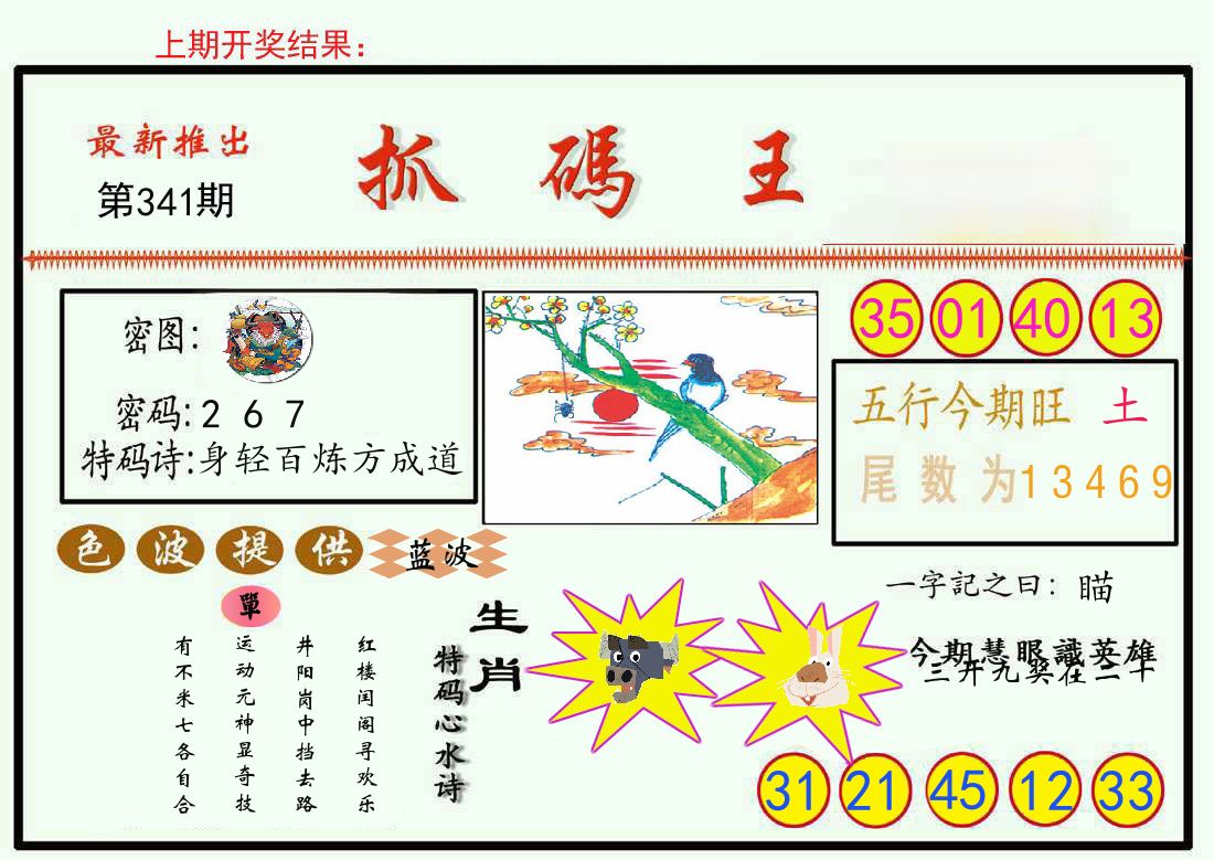 最新抓码王 第341期