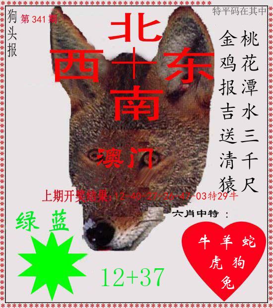 狗头报 第341期