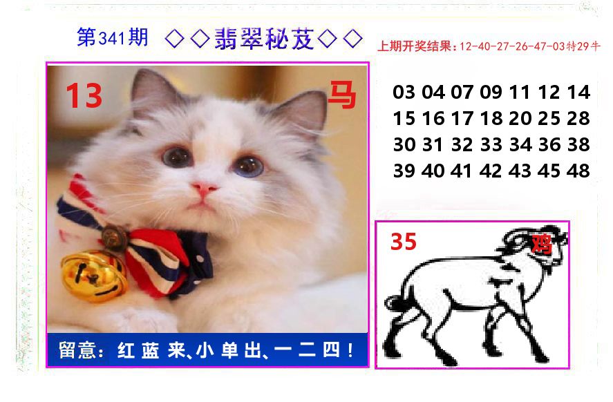 翡翠秘芨 第341期