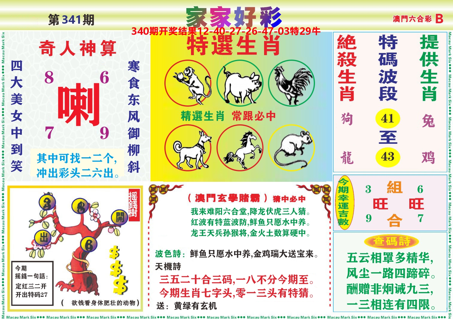 家家好彩B 第341期