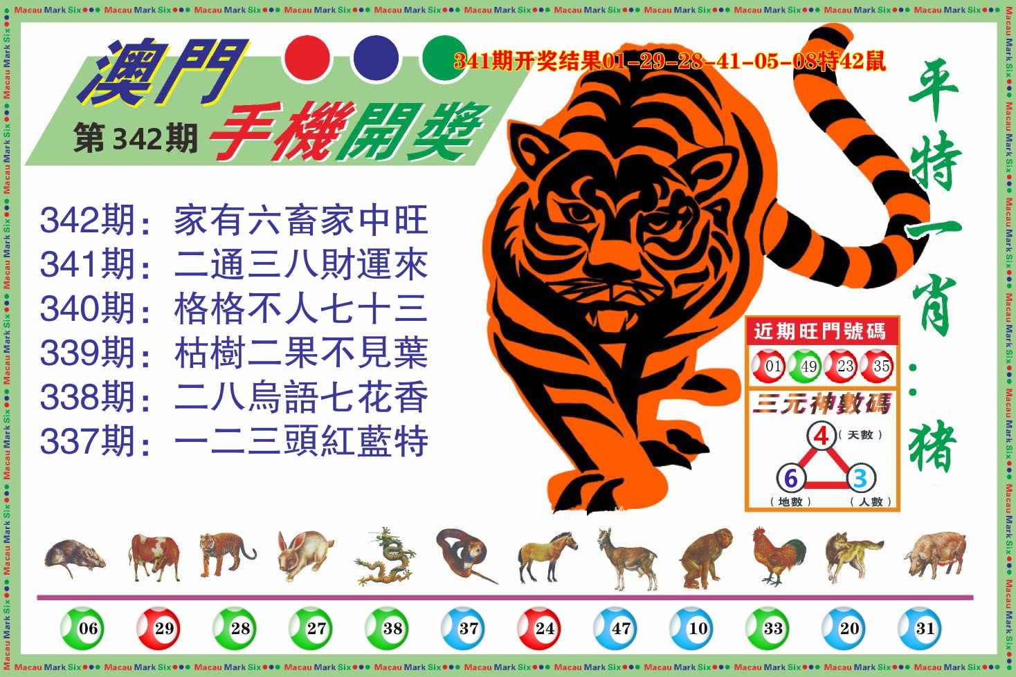 澳门开奖报 第342期