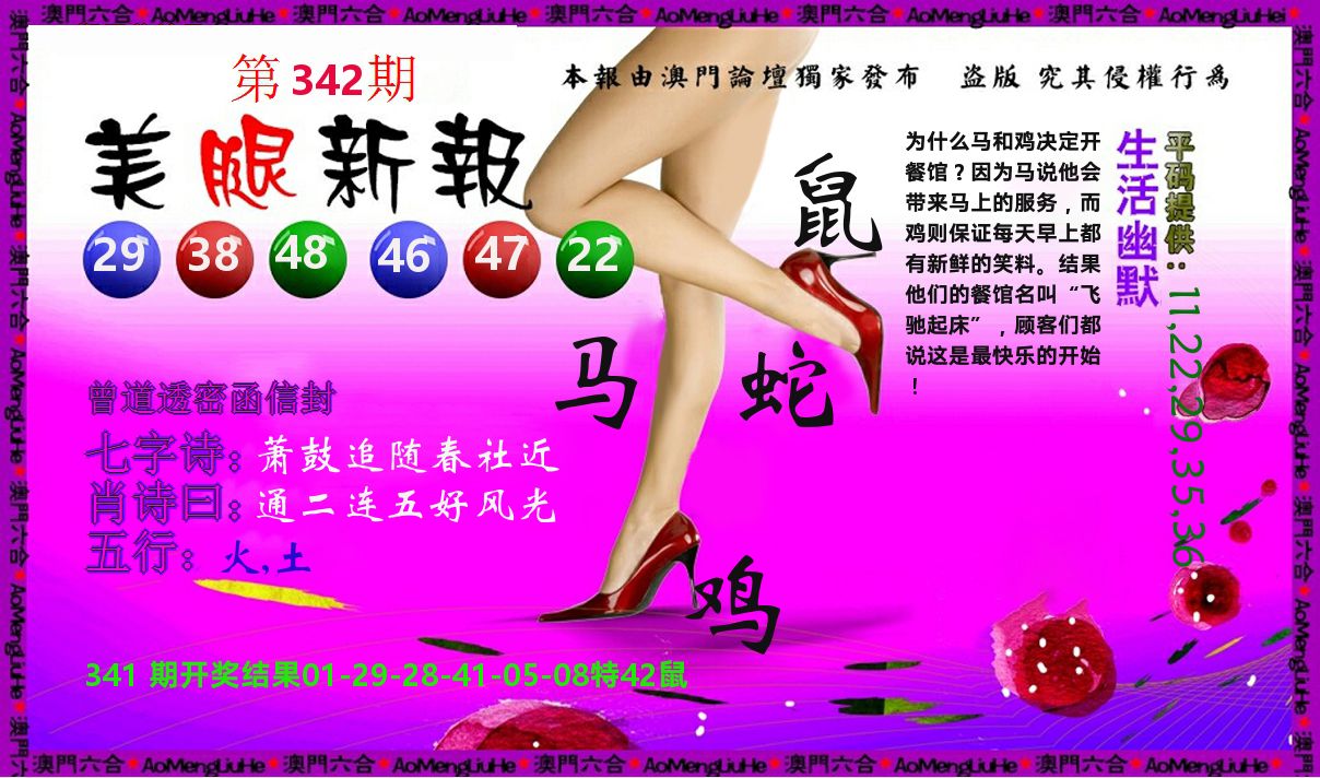美腿新报 第342期